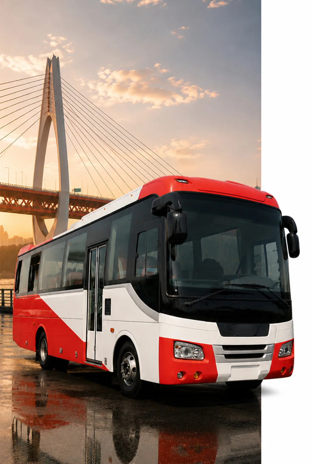 Buses